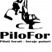 firma foraje piloti