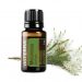 uleiuri esentiale doterra, melaleuca, tea tree doterra, arbore de ceai