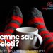 Centrală termică