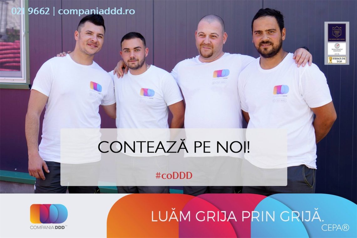 companiaddd.ro